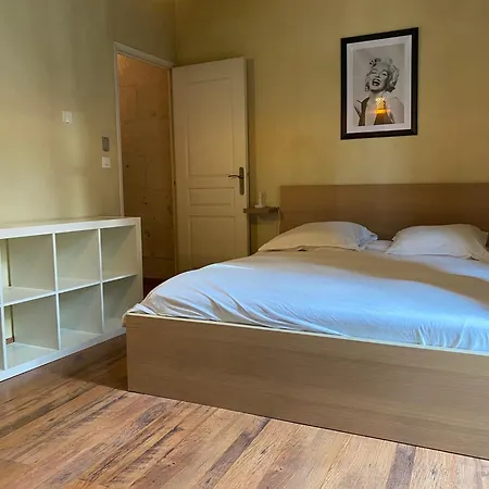 Apartment Grand Historique Rue Colbert Tours